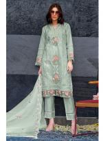 Heavy Organza Mint Green Festival Wear Embroidery Work Pakistani Suit